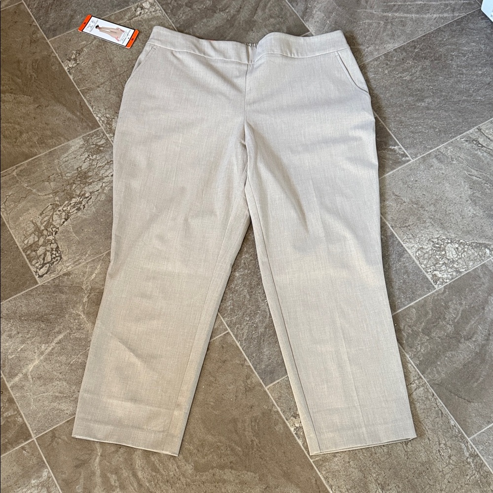 Hilary Radley Elegant tan Trousers size 16 sits at the waist slim leg. NWT